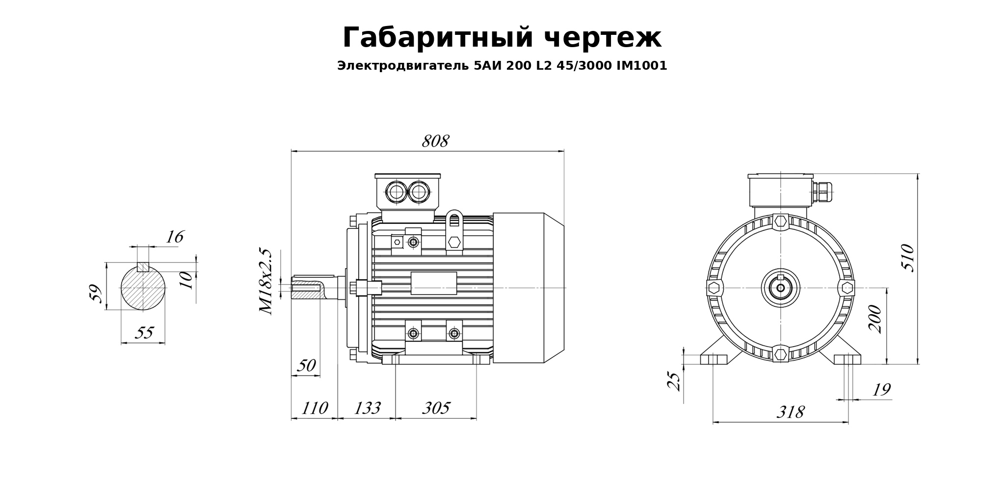 Чертеж чертеж электродвигателя 5АИ 200 L2 45/3000 IM1001