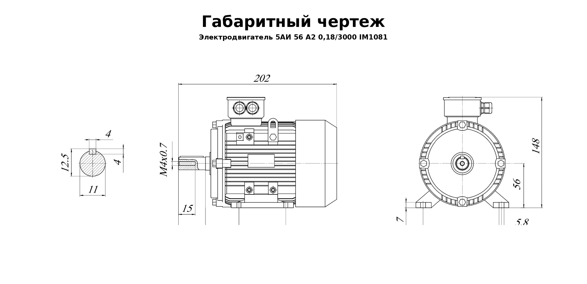 Чертеж чертеж электродвигателя 5АИ 56 А2 0,18/3000 IM1081