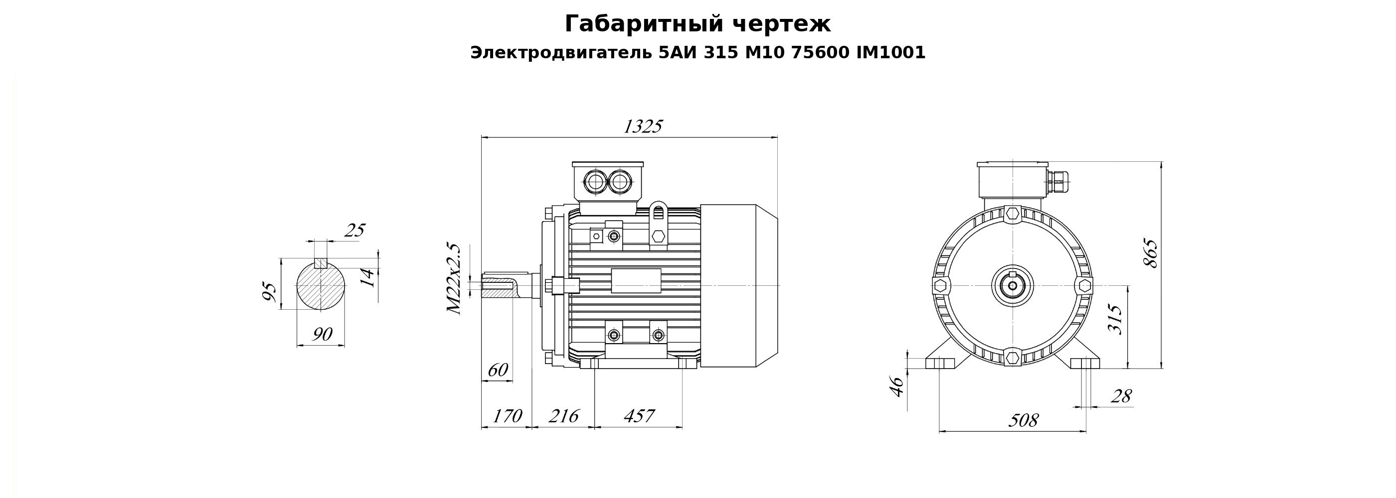Чертеж чертеж электродвигателя 5АИ 315 М10 75/600 IM1001