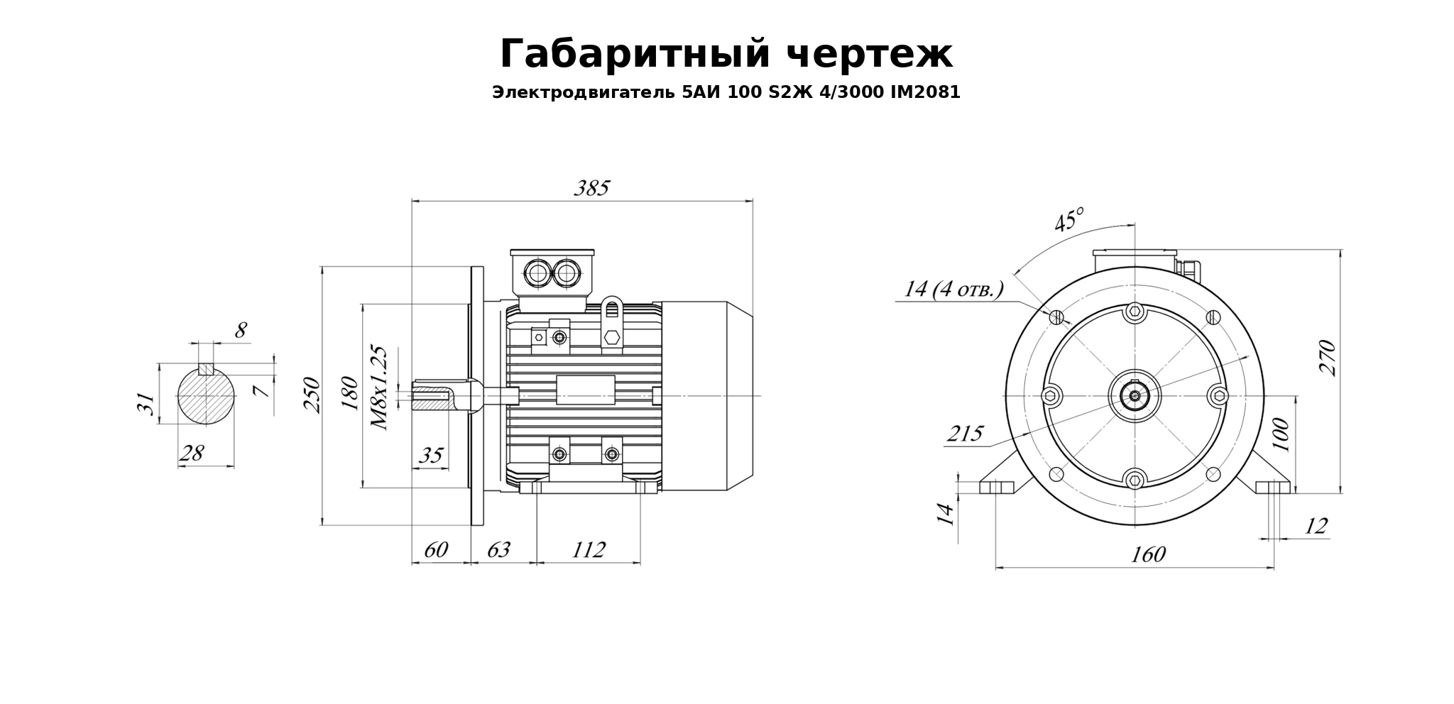 Чертеж чертеж электродвигателя 5АИ 100 S2Ж 4/3000 IM2081