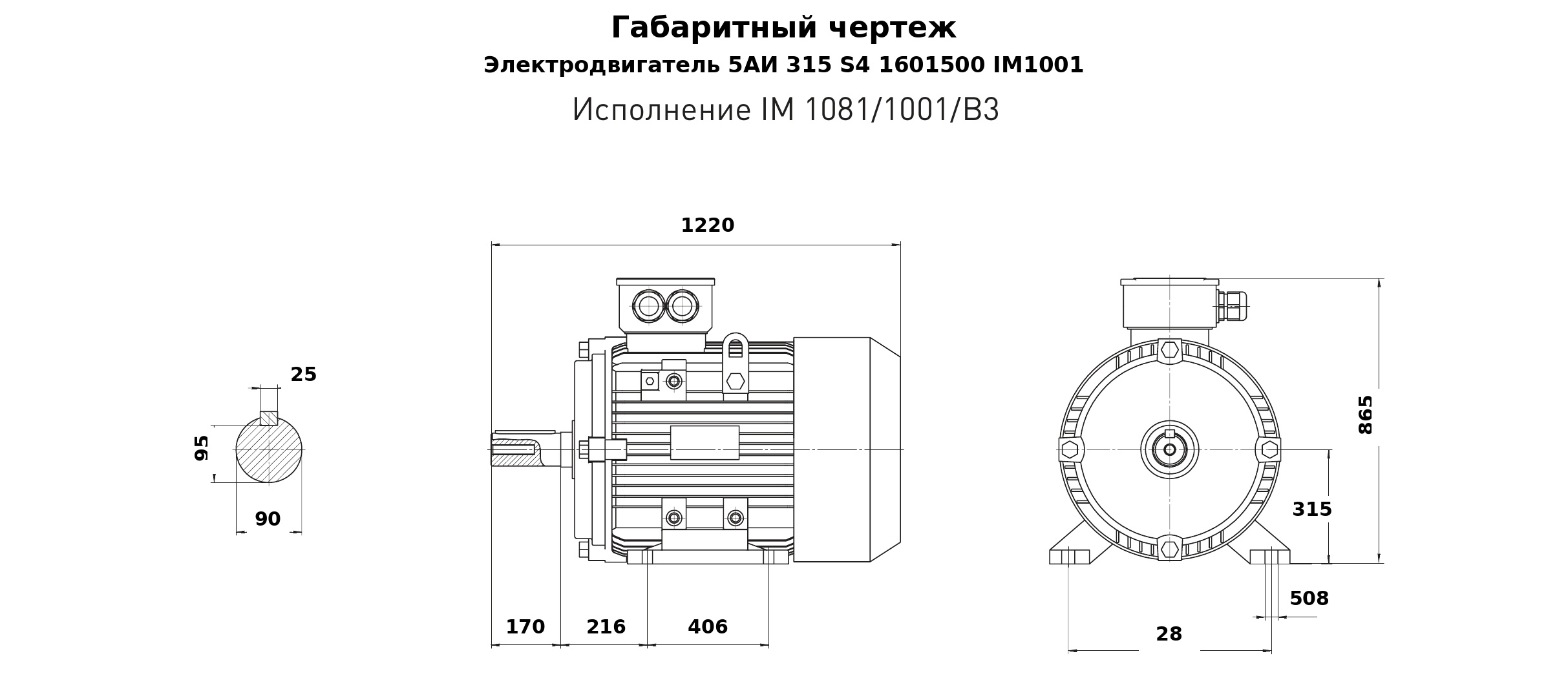 Чертеж чертеж электродвигателя 5АИ 315 S4 160/1500 IM1001