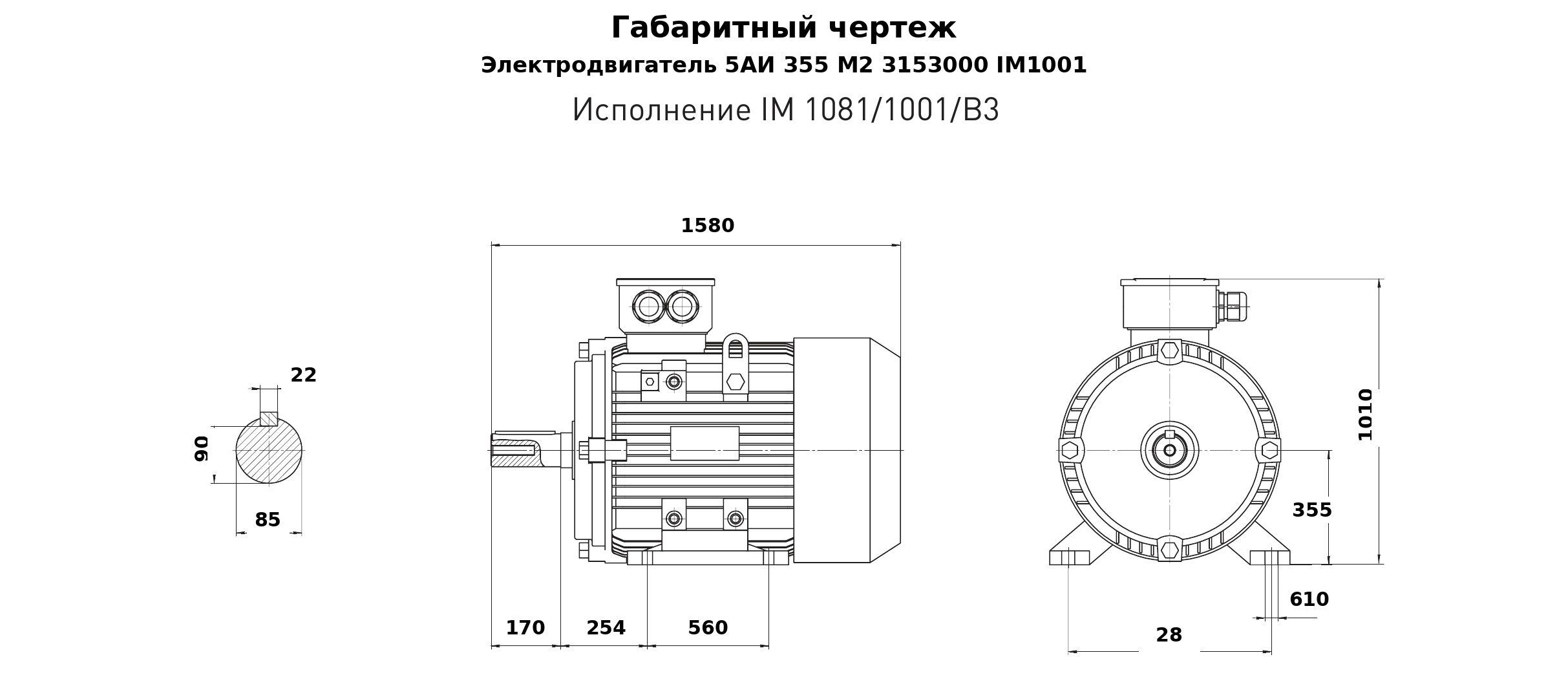 Чертеж чертеж электродвигателя 5АИ 355 М2 315/3000 IM1001